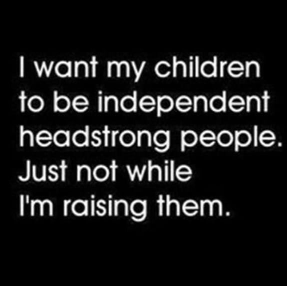Raising Independant Children Funny Guide To Raising Children and Teenager Magnet