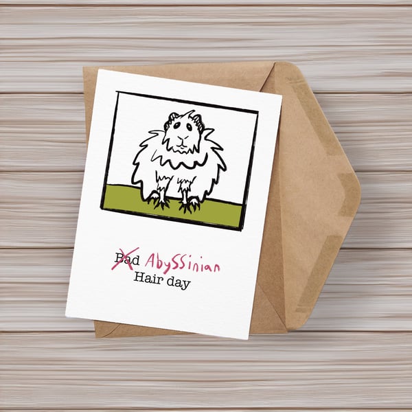 Guinea pig card abyssinian bad hair day