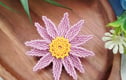 Brooches