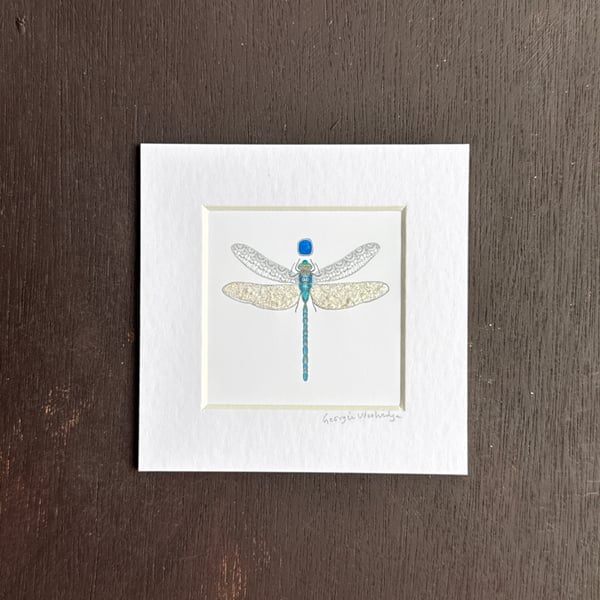 December Dragonfly Birthstone 5" x 5"