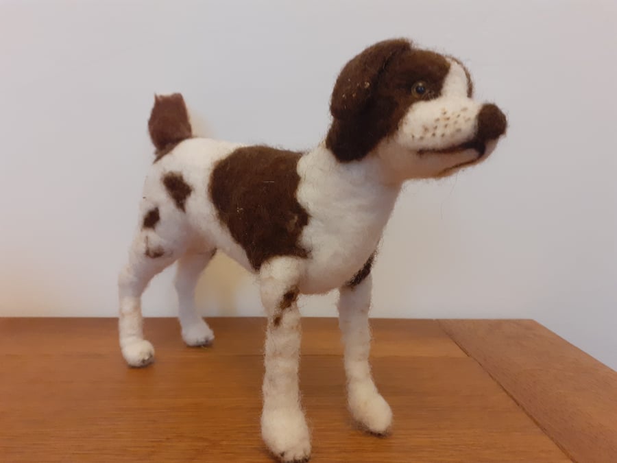 Spaniel 