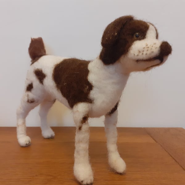 Spaniel 