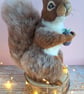 Flora the Red Squirrel - Image 5