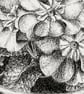 Potted plant original black ink drawing  - Image 2