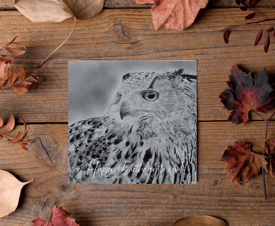 Customisable Owl Card, Illustrated Front with Story Inside