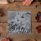 Customisable Owl Card, Illustrated Front with Story Inside