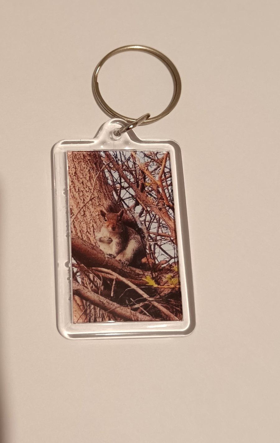 Cute grey squirrel woodland themed photography keyring