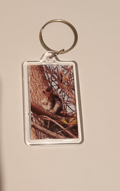 Cute grey squirrel woodland themed photography keyring