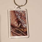 Cute grey squirrel woodland themed photography keyring