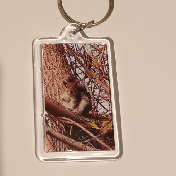 Cute grey squirrel woodland themed photography keyring