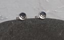 Mini stud earrings 