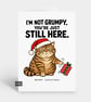 Funny Christmas Card - Not Grumpy Rude Cat - Image 1