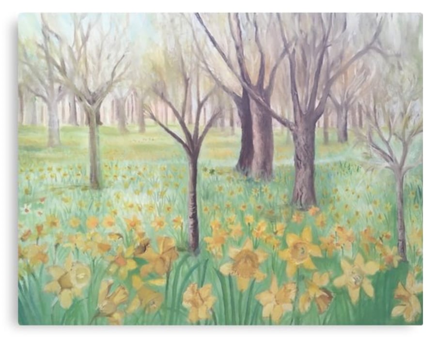 Canvas Print Taken From The Original Oil Painting ‘Carpet Of Daffodils’