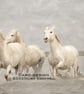 Exclusive Camargue Horses Greetings Card - Image 2