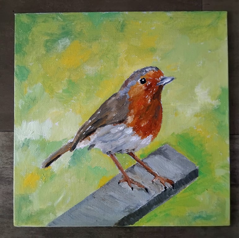Robin - painting acrylics on canvas board