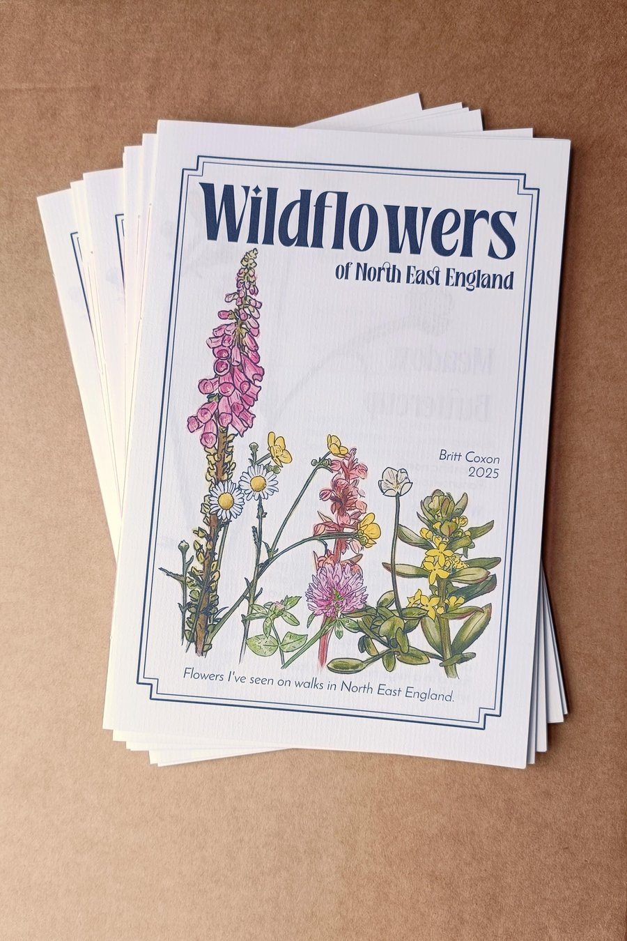 Wildflowers of North East England