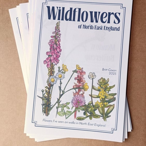 Wildflowers of North East England