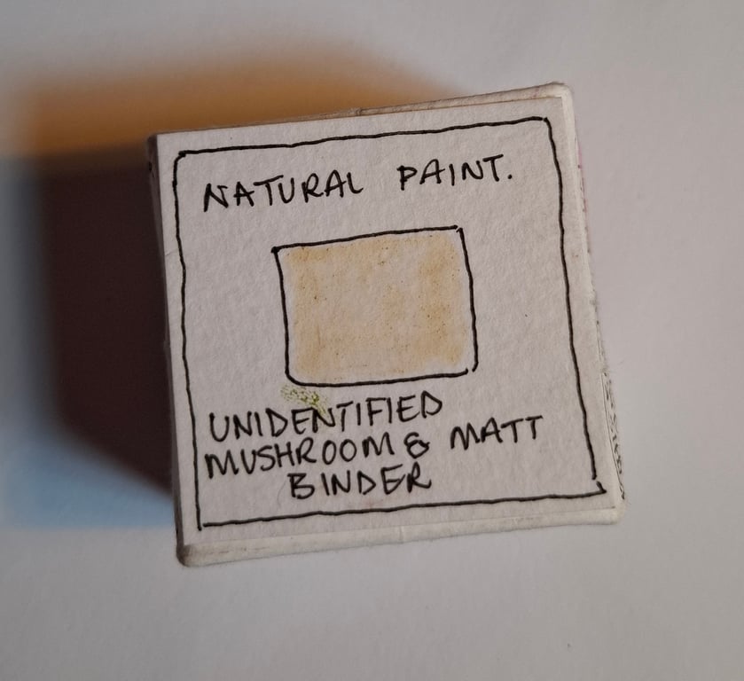 Pot of Handmade Natural Paint. Mushroom