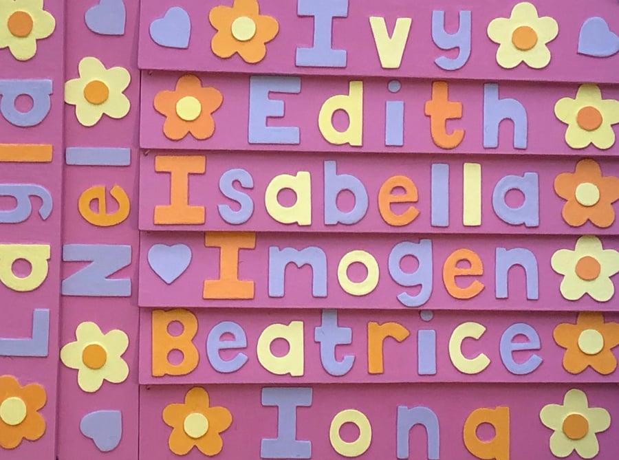 Any Name! Baby Pink Flower Name Plate