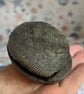 Fossilised Ammonite Split Pair From Whitby Beautifully prepped polished & stands - Image 2