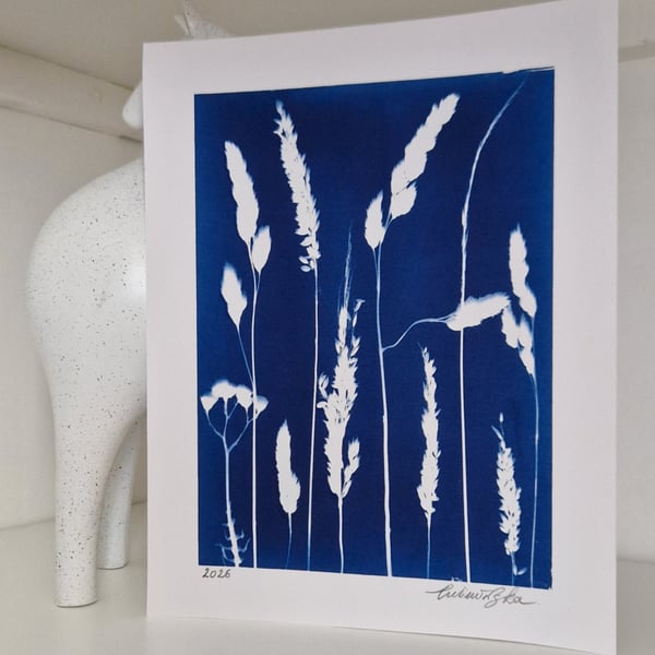 Cyanotype Botanical Print No. 1