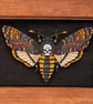 Death's Head Moth - 3D Artwork  - Image 2