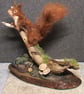 Red Squirrel Needlefelt sculpture hand crafted one of a kind