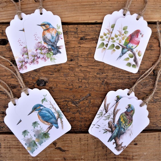 GT0092   Pack of 8 Bird Gift Tags
