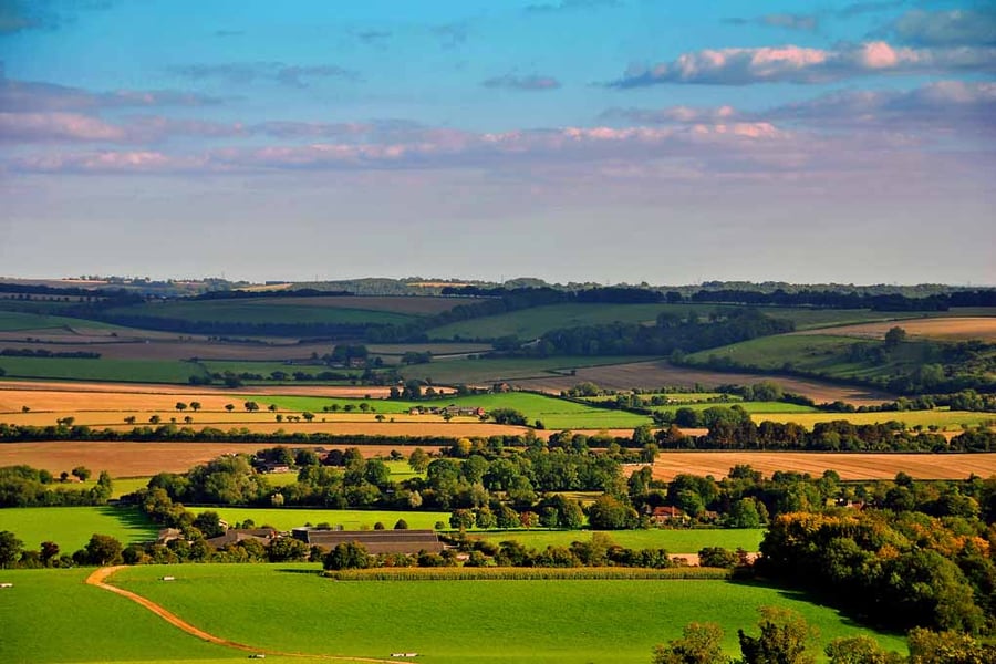 South Downs Beacon Hill Hampshire England Photograph Print