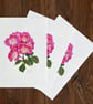 Rose A5 Signed Print - Image 4