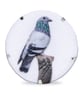 Pigeon brooch - Image 7