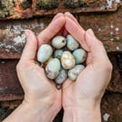 Ceramic songbird eggs, lifesized speckled mini bird eggs