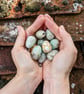 Ceramic songbird eggs, lifesized speckled mini bird eggs