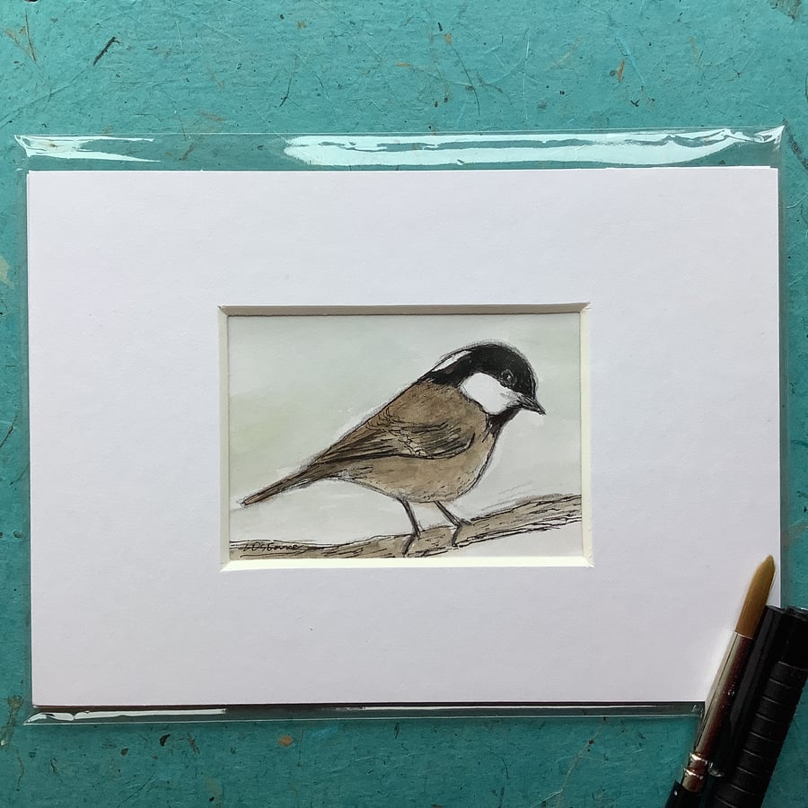Coal tit - watercolour, pen and ink miniature. Garden bird
