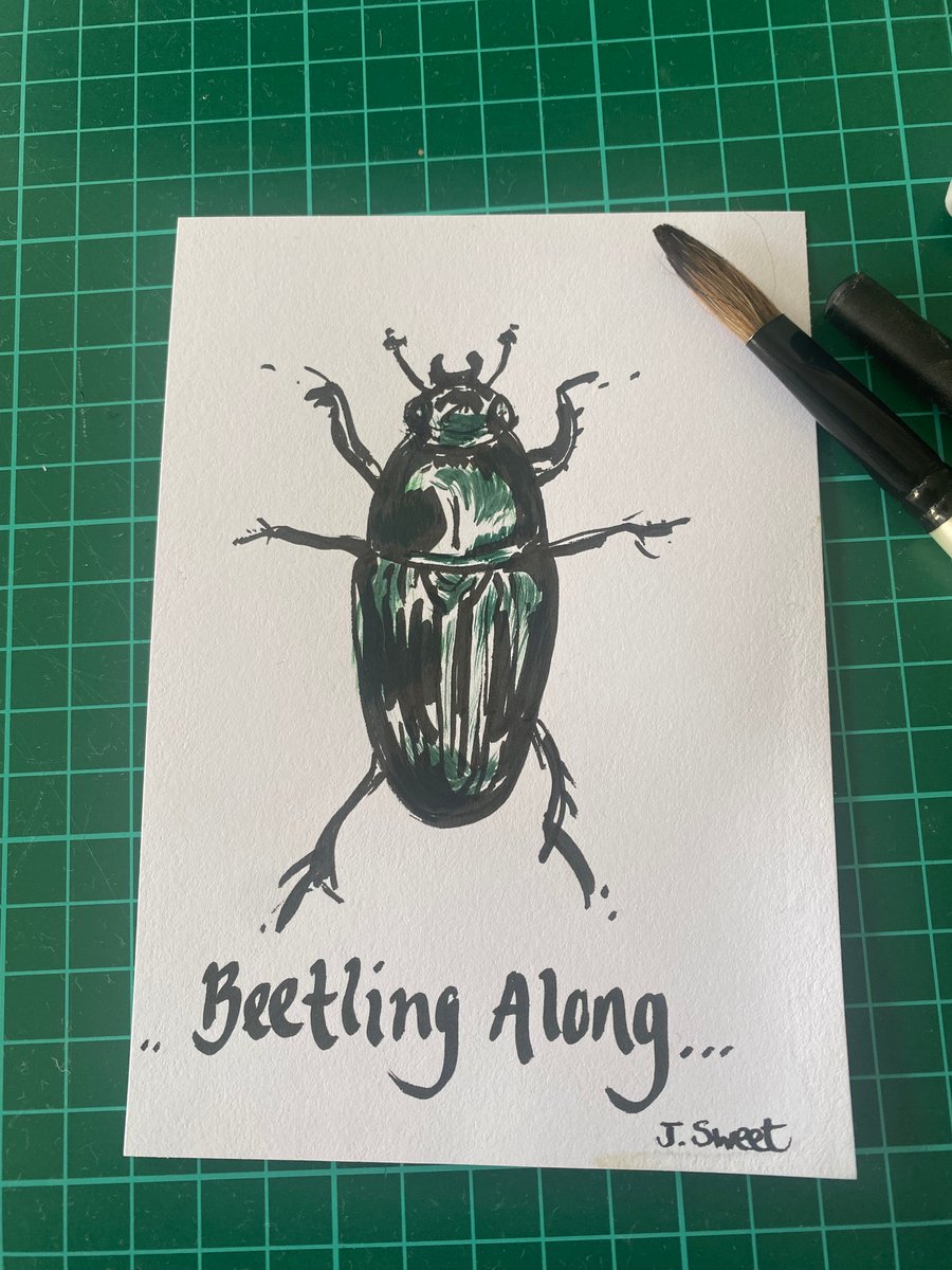 Beetling Along ink drawing 