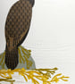 Cormorant Fishing Lino Reduction Limited Edition And Hand Embossed Print - Image 1