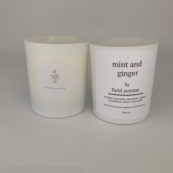 Mint and Ginger candle - NEW - Summer Collection