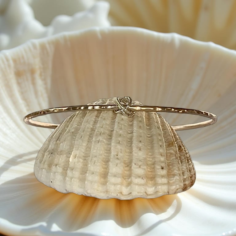 Gold Bangle With Silver Rings