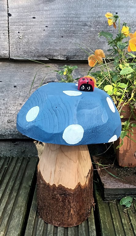 Blue Spotty toadstool