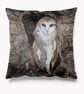 Cushion - Framed Barn Owl