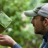 Original Leaf Sculpture by Richard Shilling