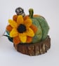 Pumpkin house  - Image 2