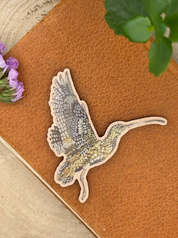 Laser Cut Wooden Curlew Magnet