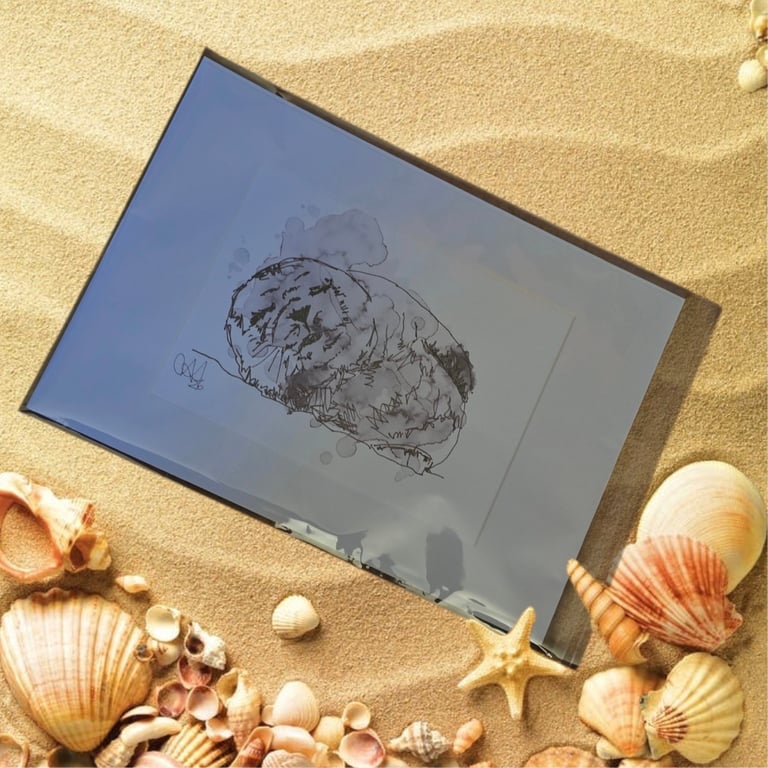 Coastal Wall Art – Seaside Ink & Watercolour Animal Illustrations, Grey Seal