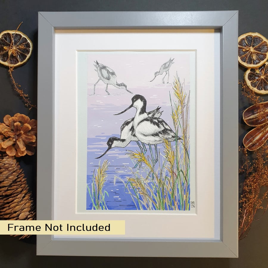 Avocet at the Water's Edge, original bird illustration, nature artwork
