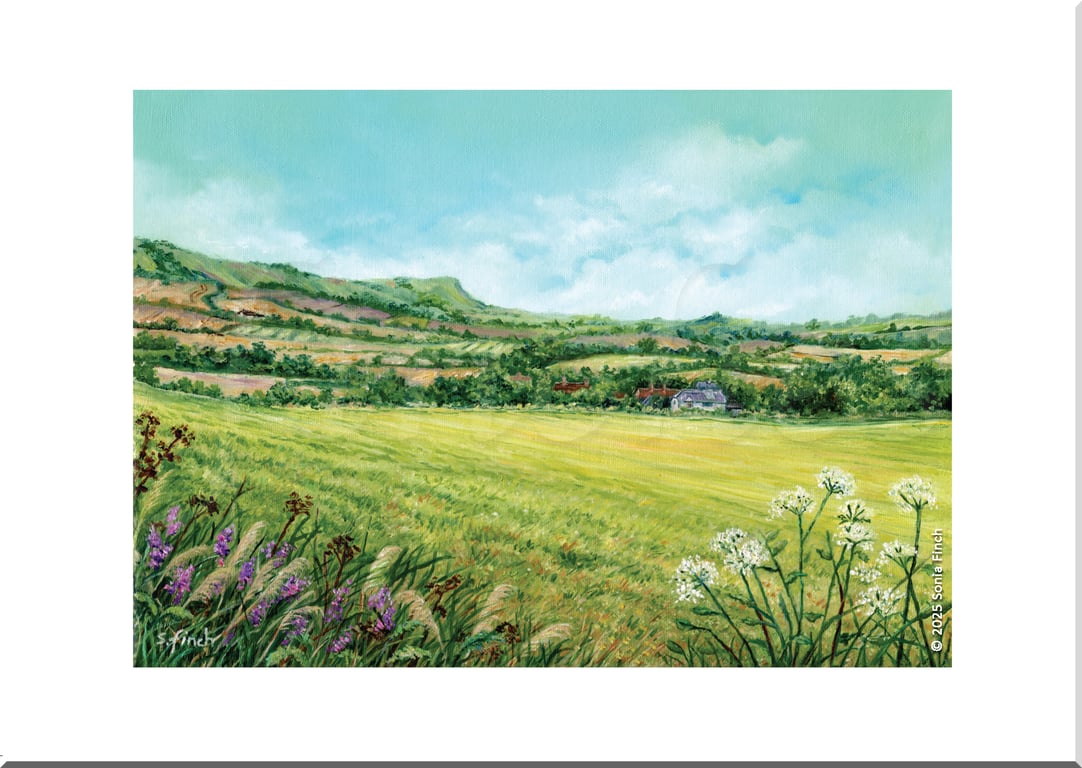 Golden Days on the South Downs in the Sun - Greeting Card