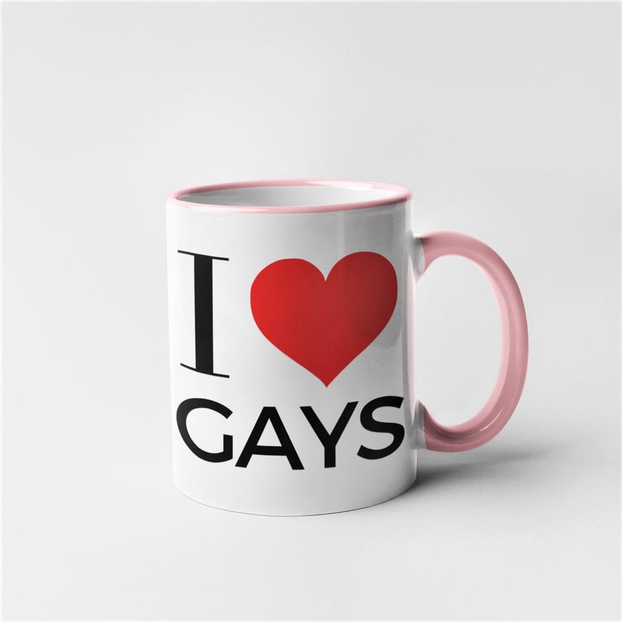 Rude Novelty Funny I Love Gays Mug - Choose Colour
