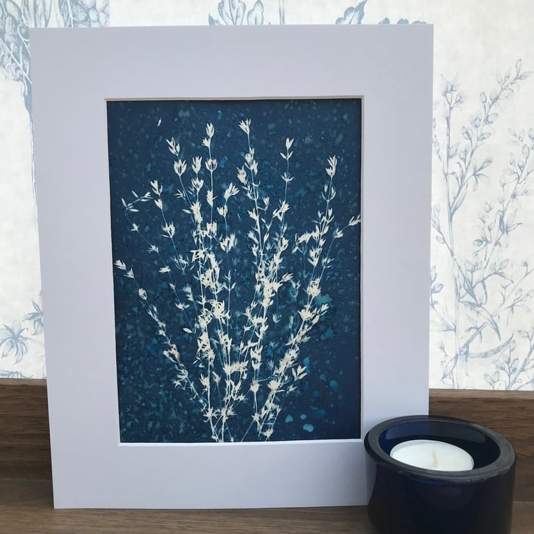 Botanical Gift, Artful Aromatics- Thyme. Framed or Mounted