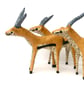 Little Thomson's Gazelles - Set of 3 - MADE TO ORDER