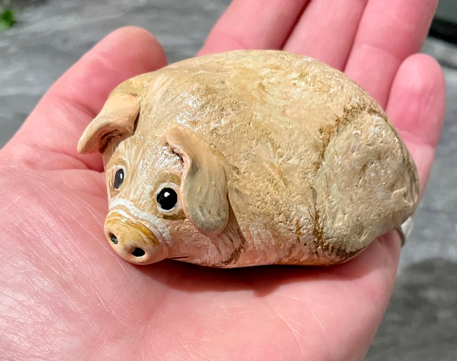 Pig hand painted pebble garden rock art pet portrait 
